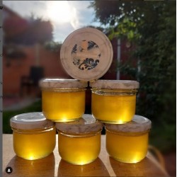 Honig Sommertracht 500 g