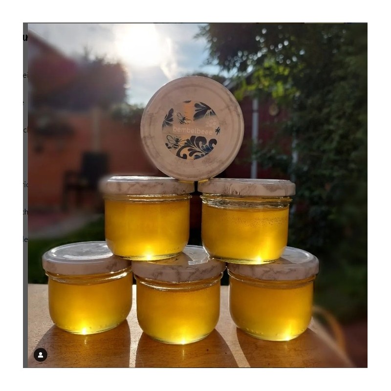 Honig Sommertracht 500 g